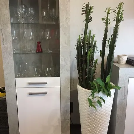 Vip 马尔贝格