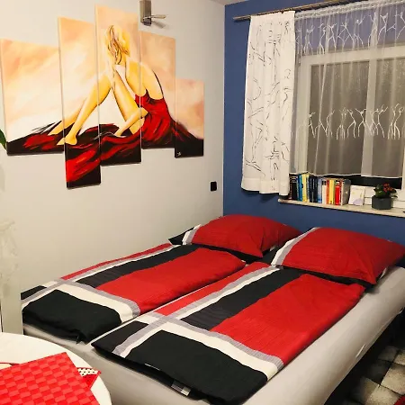 Apartment Vip